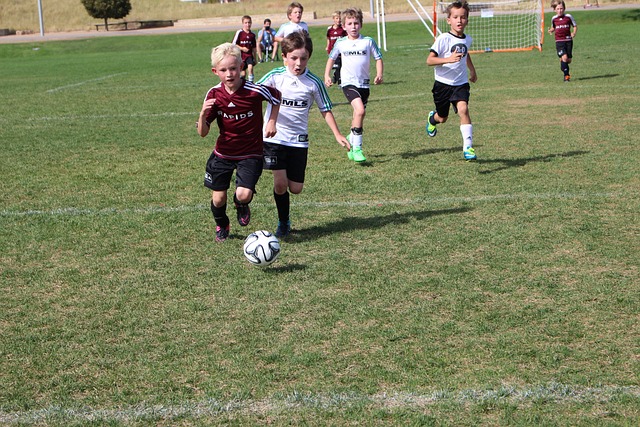 在嘲讽和欢 在嘲讽和欢