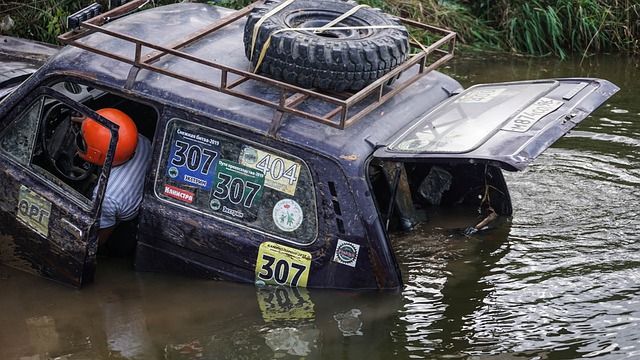 实现了让生 实现了让生