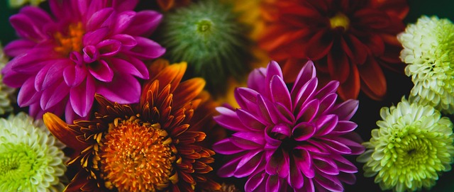 上的表现 上的表现