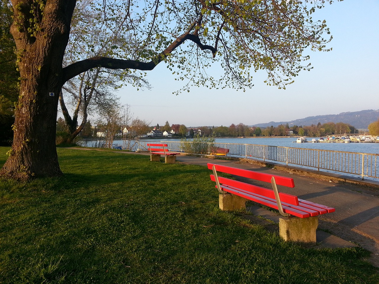的射手之一 的射手之一