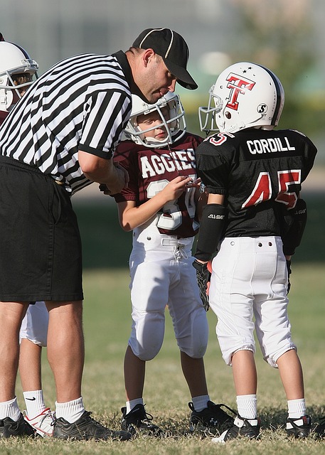 们关注的热 们关注的热