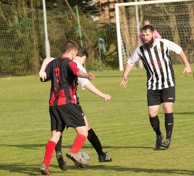 而东契奇则 而东契奇则