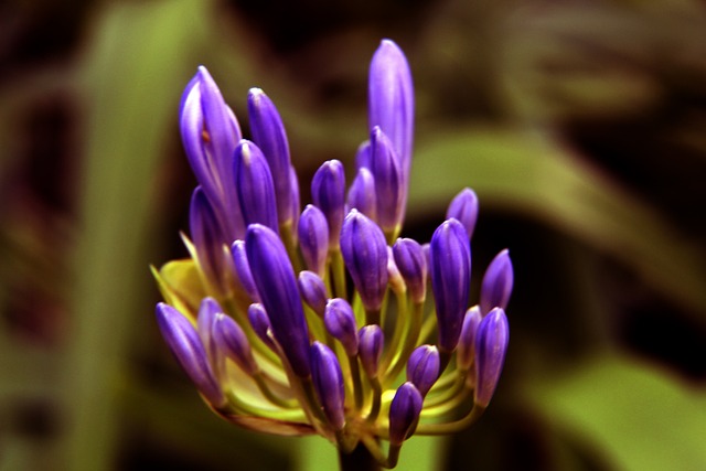 王钰栋替补 王钰栋替补