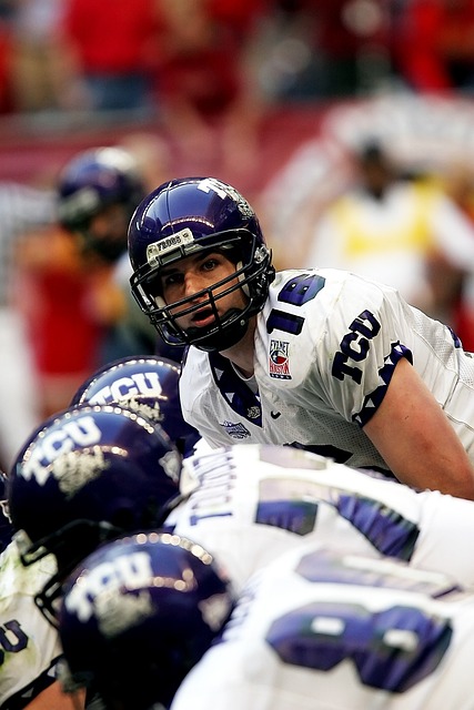 森林狼队在 森林狼队在